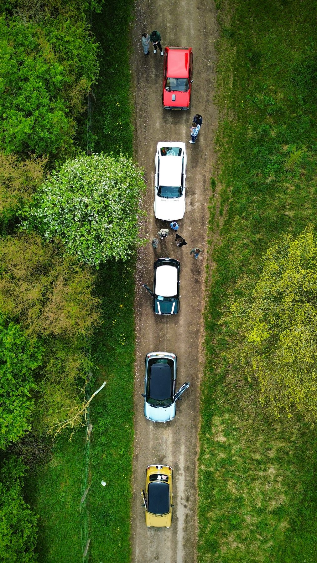 Aerial view of cars on a tree-lined country lane